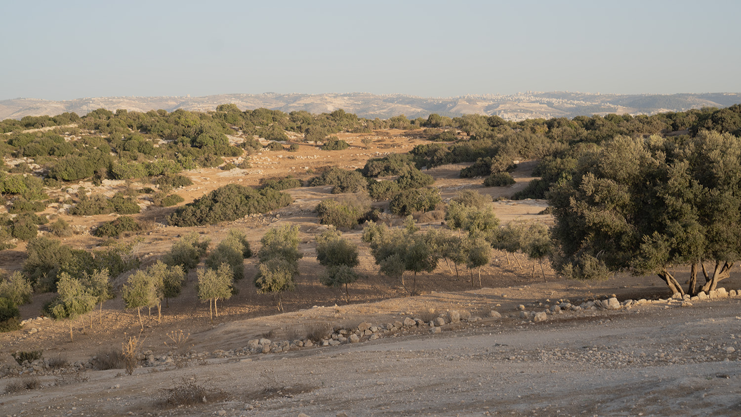 We are sitting in the second office room